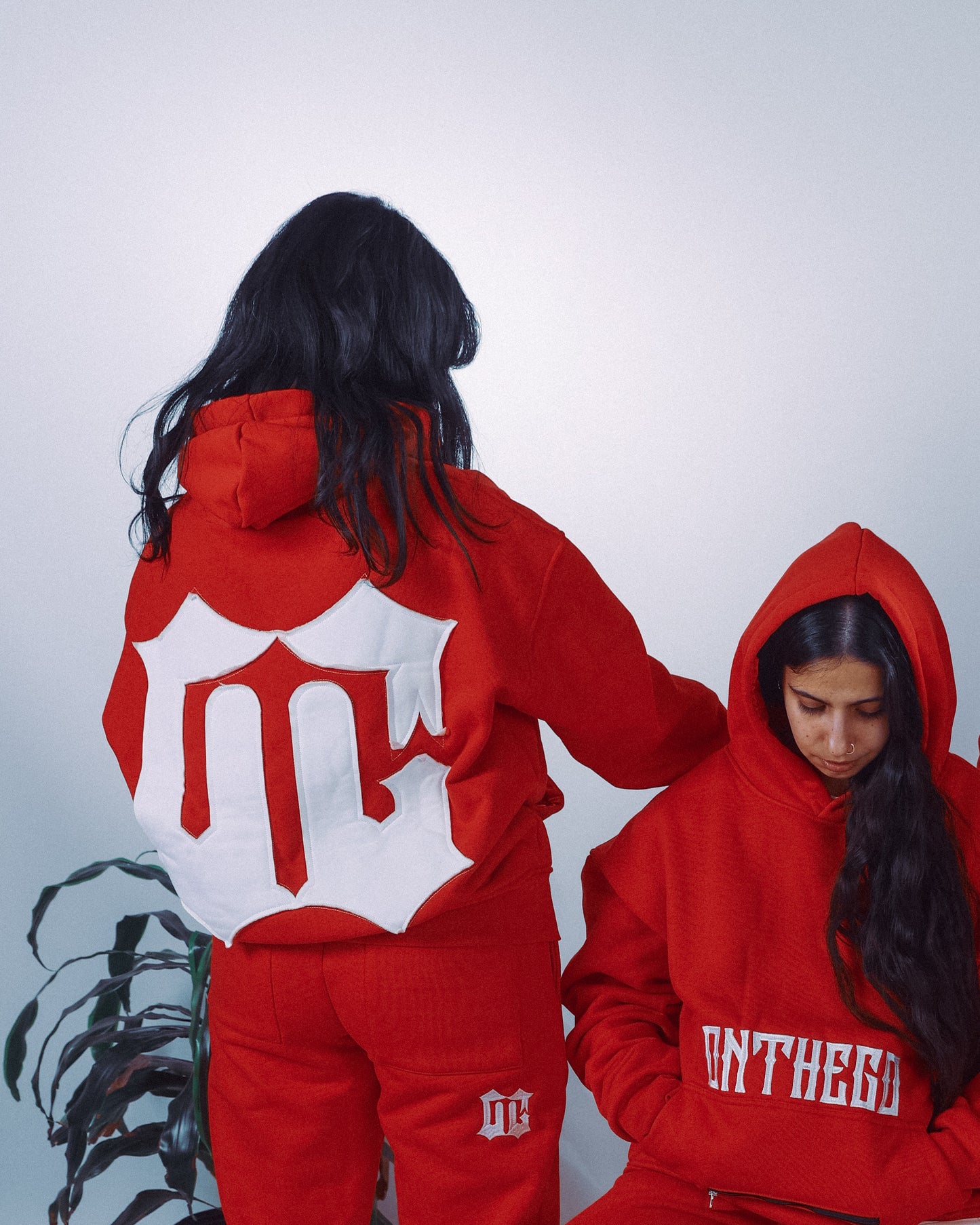 STANDARD HOODIE (RED)