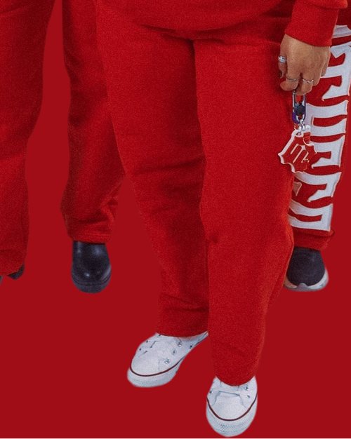 HEAVY COTTON BLANK SWEATPANTS [B]